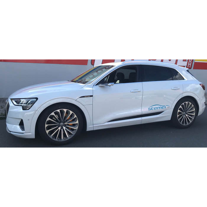 【エアサスのロワリング】Audi e-tron GE